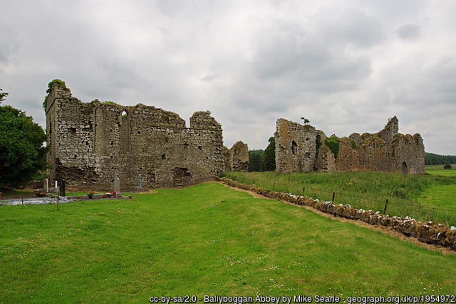 Ballyboggan Abbey