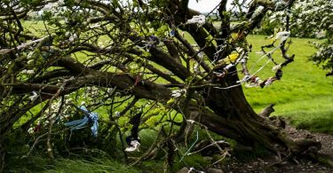 Rag Tree