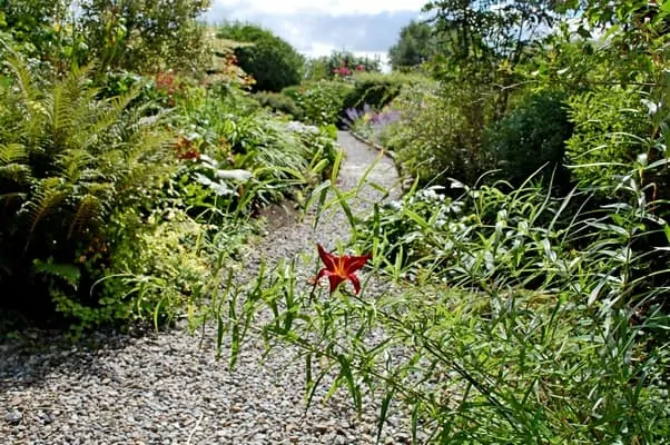 County Kildare Burtown House Gardens