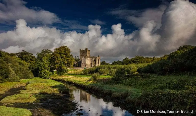 Tintern Abbey Irland
