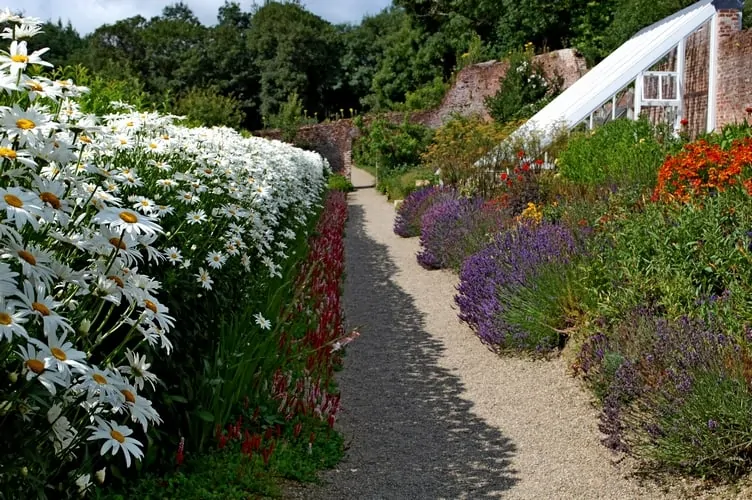 Colclough Garden Tintern Abbey Wexford