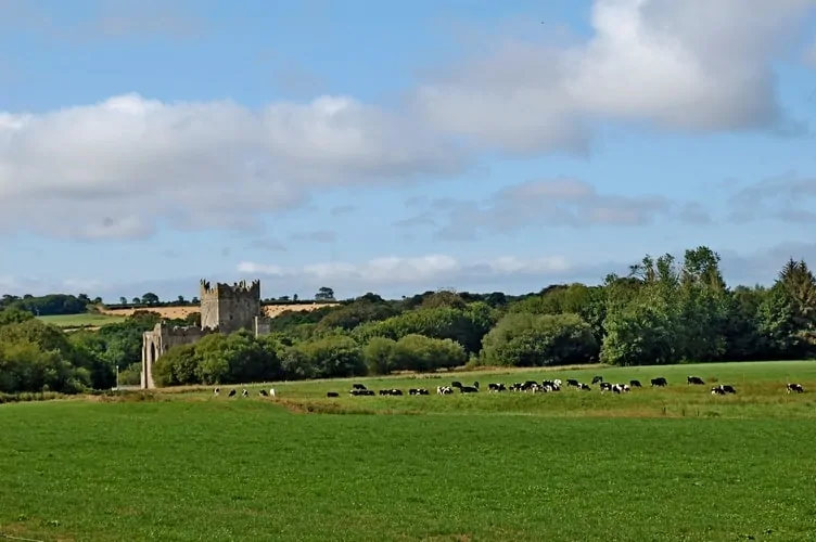 Tintern Abbey Wexford