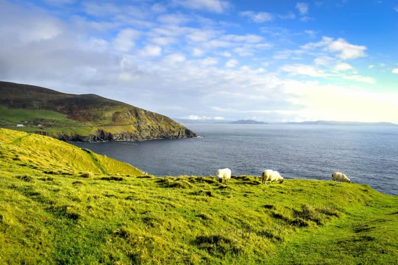 Frühling in Irland