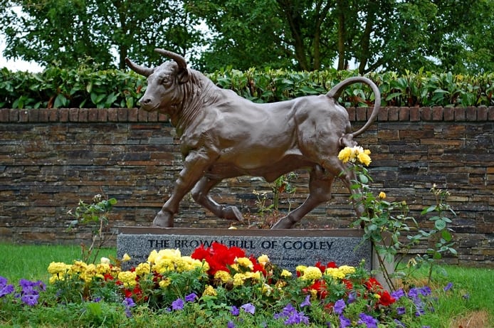 Bull of Cooley