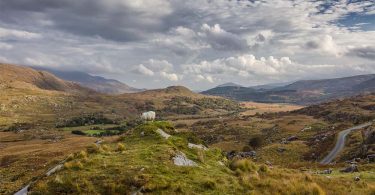 Kerry Way