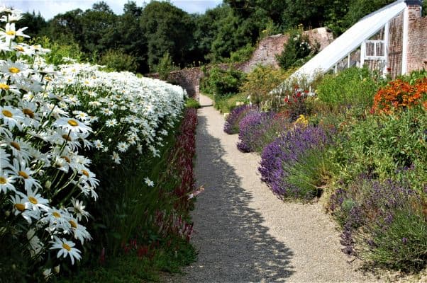 Coclough Walled Garden Tintern Abbey Wexford