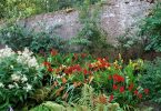 Die Schönsten Gärten im County Wexford