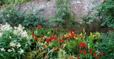 Die Schönsten Gärten im County Wexford