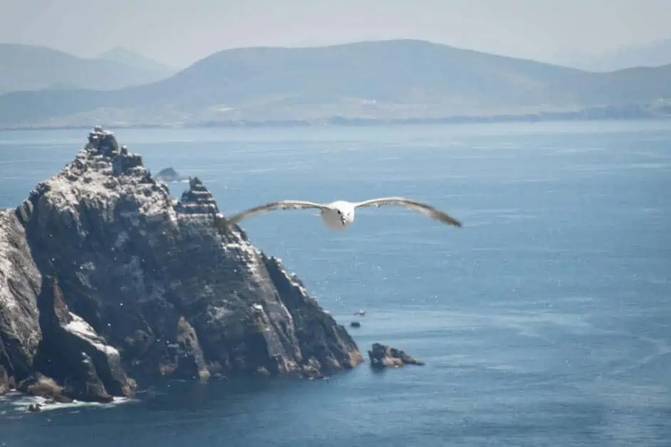 Little Skellig: Die Vogelinsel im Atlantik