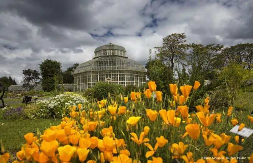 Botanischer Garten Dublin