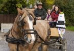 fröhliche Familie in Pferdekutsche. Galway mit Kindern erkunden