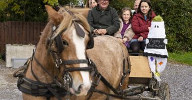 fröhliche Familie in Pferdekutsche. Galway mit Kindern erkunden