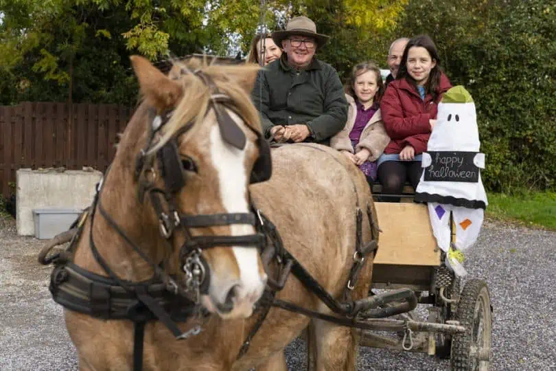 fröhliche Familie in Pferdekutsche. Galway mit Kindern erkunden