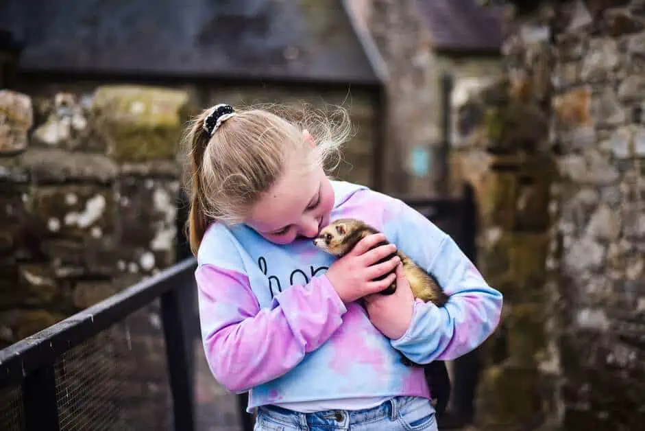 Mädchen streichelt Meerschweinchen. Galway mit Kindern erkunden