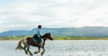 Reiten in Irland