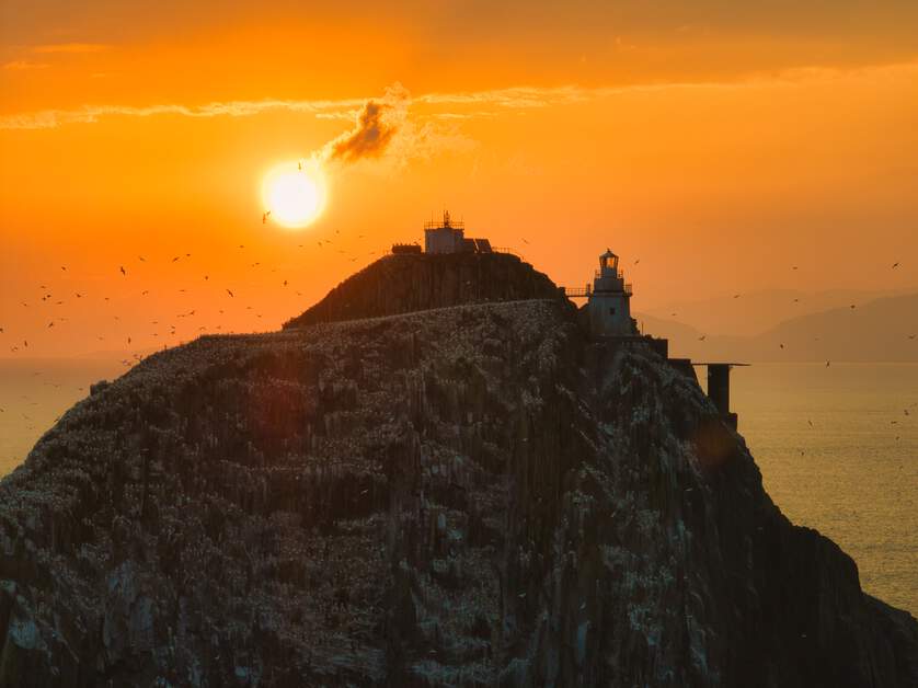 Bull Rock Felseninsel im Sonnenuntergang umkreist von vielen Seevögeln