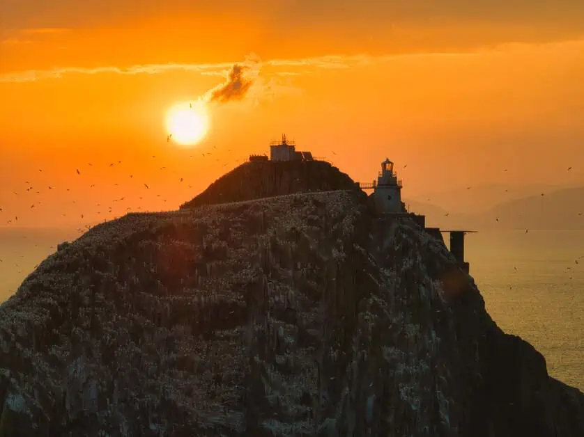 Bull Rock Felseninsel im Sonnenuntergang umkreist von vielen Seevögeln