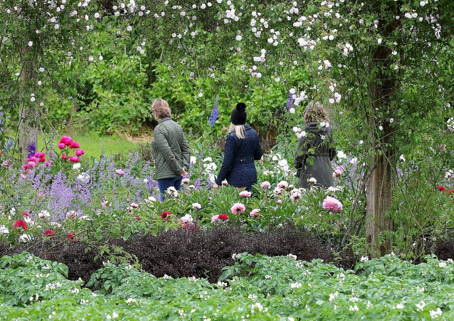 drei Erwachsene spazieren durch die prächtig blühenden Mount Congreve Gardens