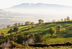 Knockfierna