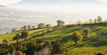 Knockfierna