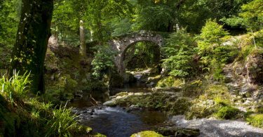 Tollymore Forest Park
