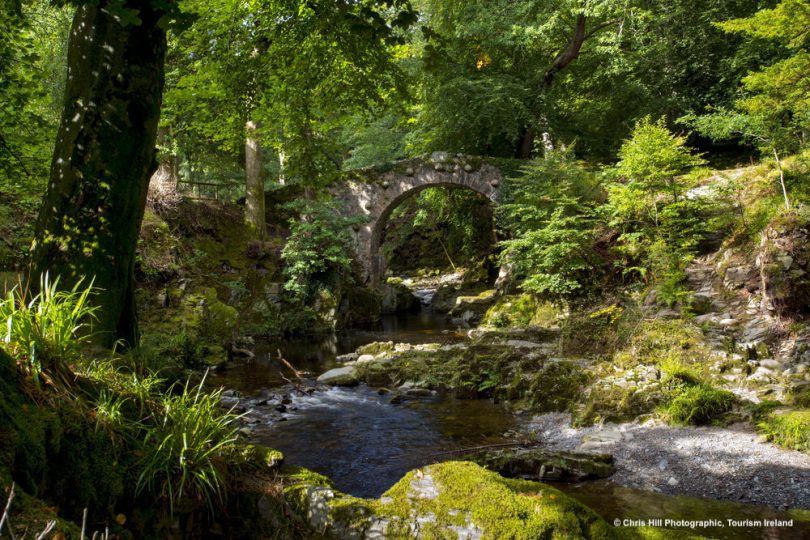 Tollymore Forest Park