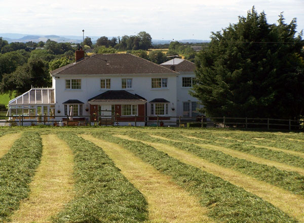 Bed&Breakfast Athy Co. Kildare Irland