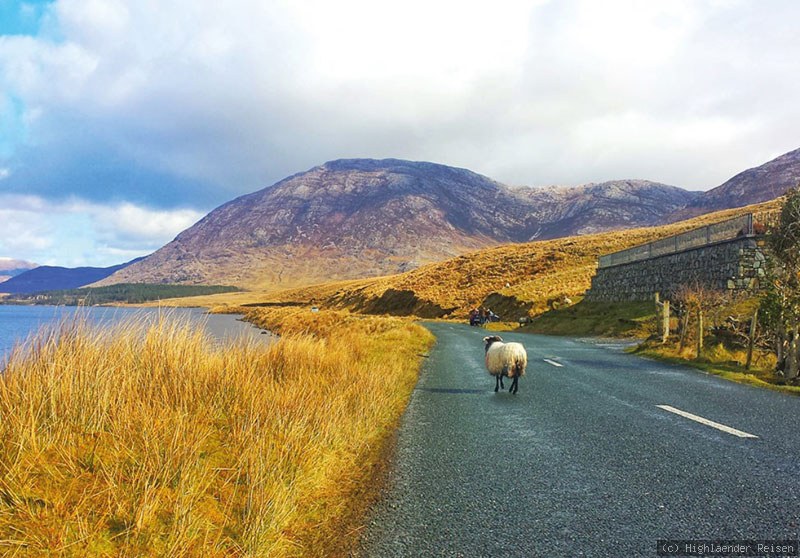 Impression: Wandern in Kerry & Cork