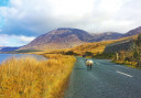 Impression: Wanderung Kerry & Cork